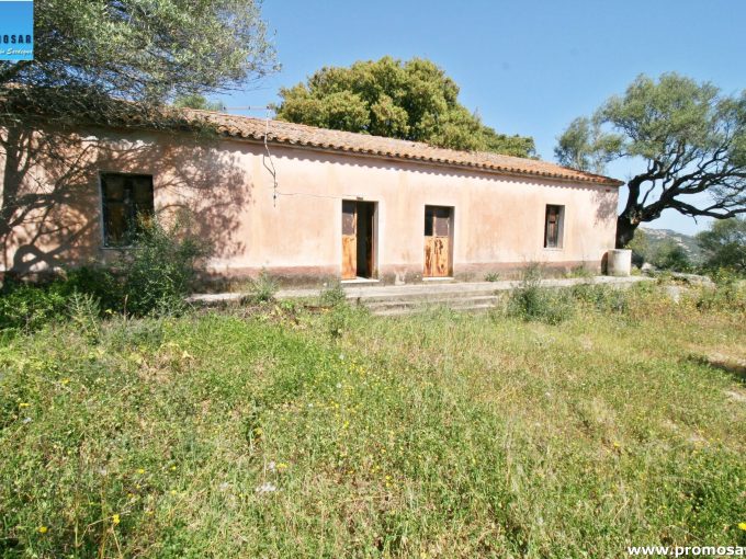 Cottage and large land near San Pantaleo